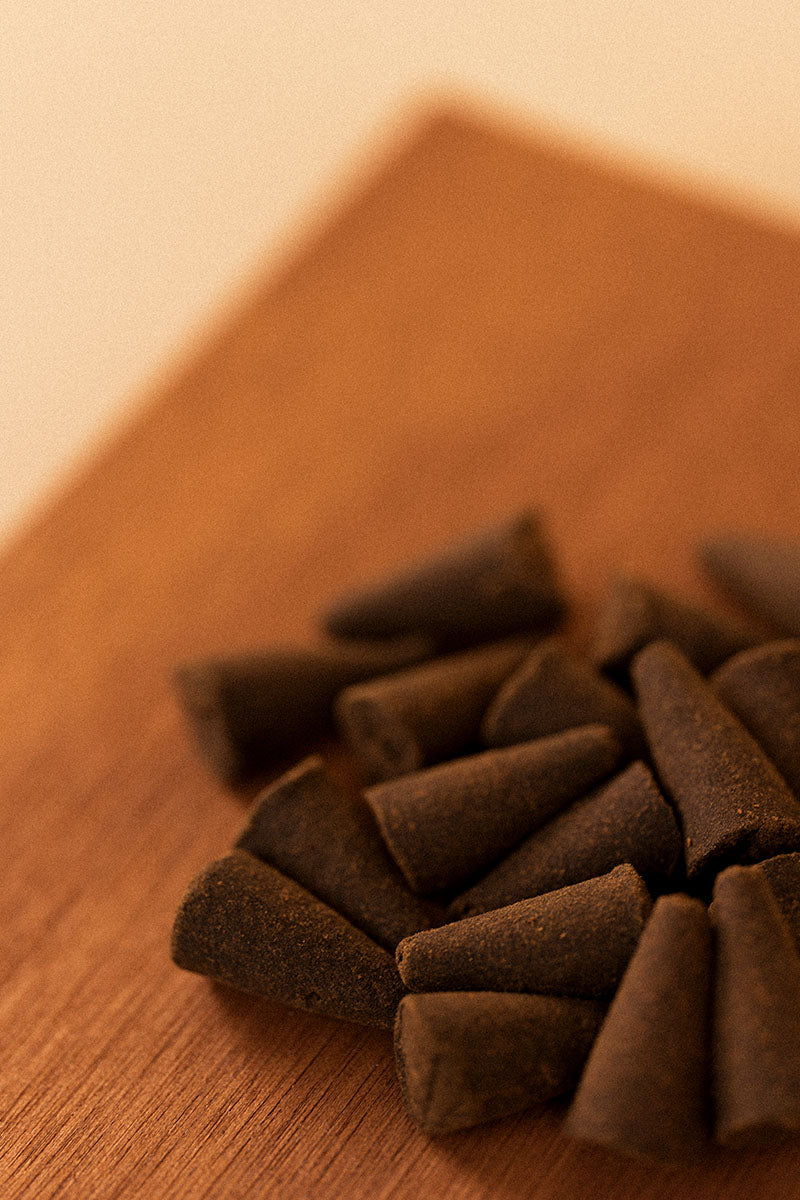 Encens cônes, Balsam Fir, Paine’s