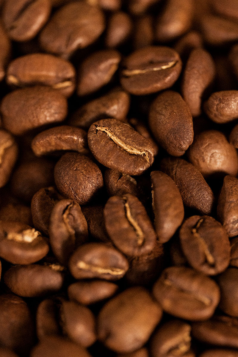 Wilton Benitez Cafe, Jungle